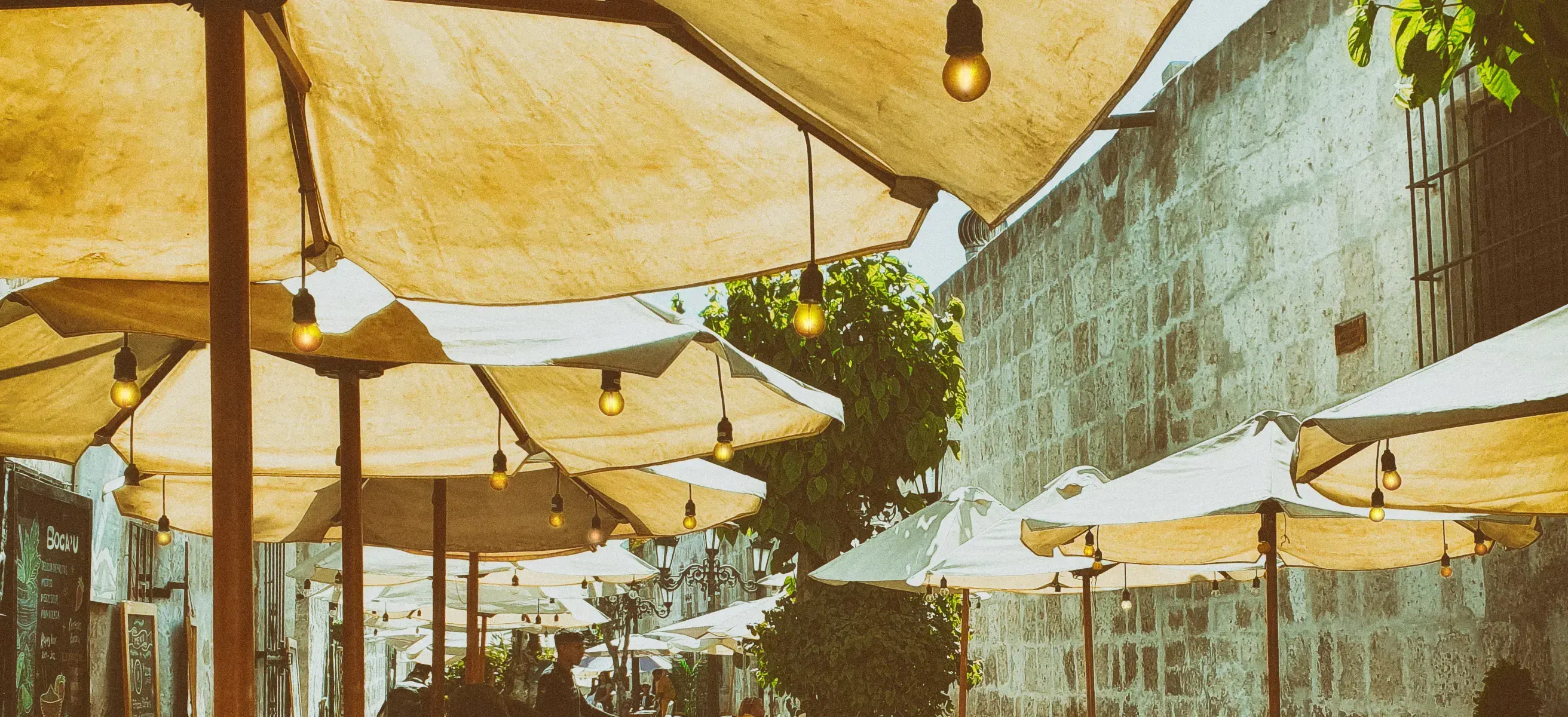parasols