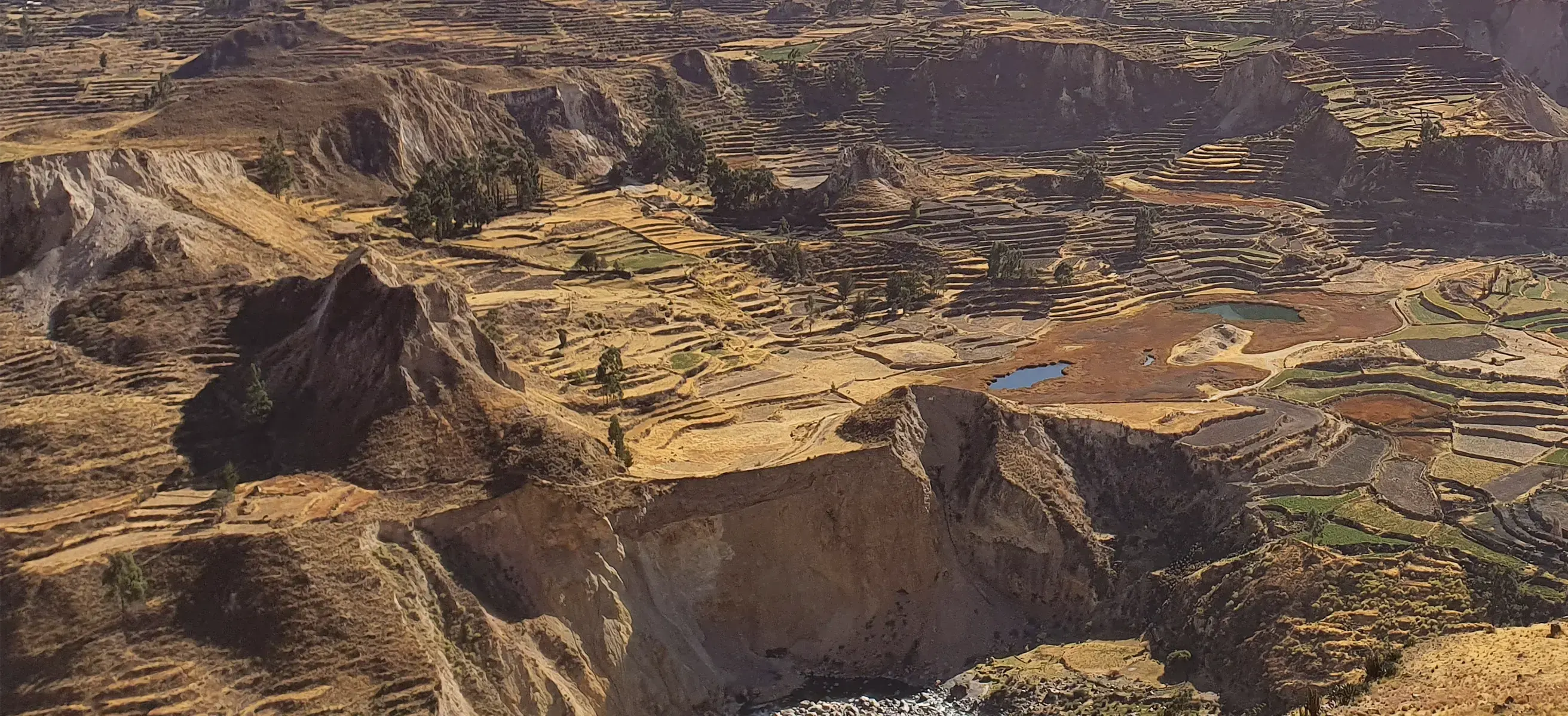 Colca Canyon Detail