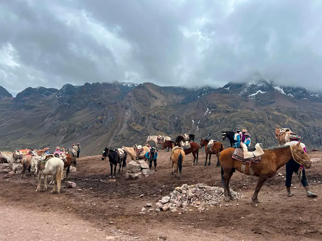 Horses in Rainbow Mountains