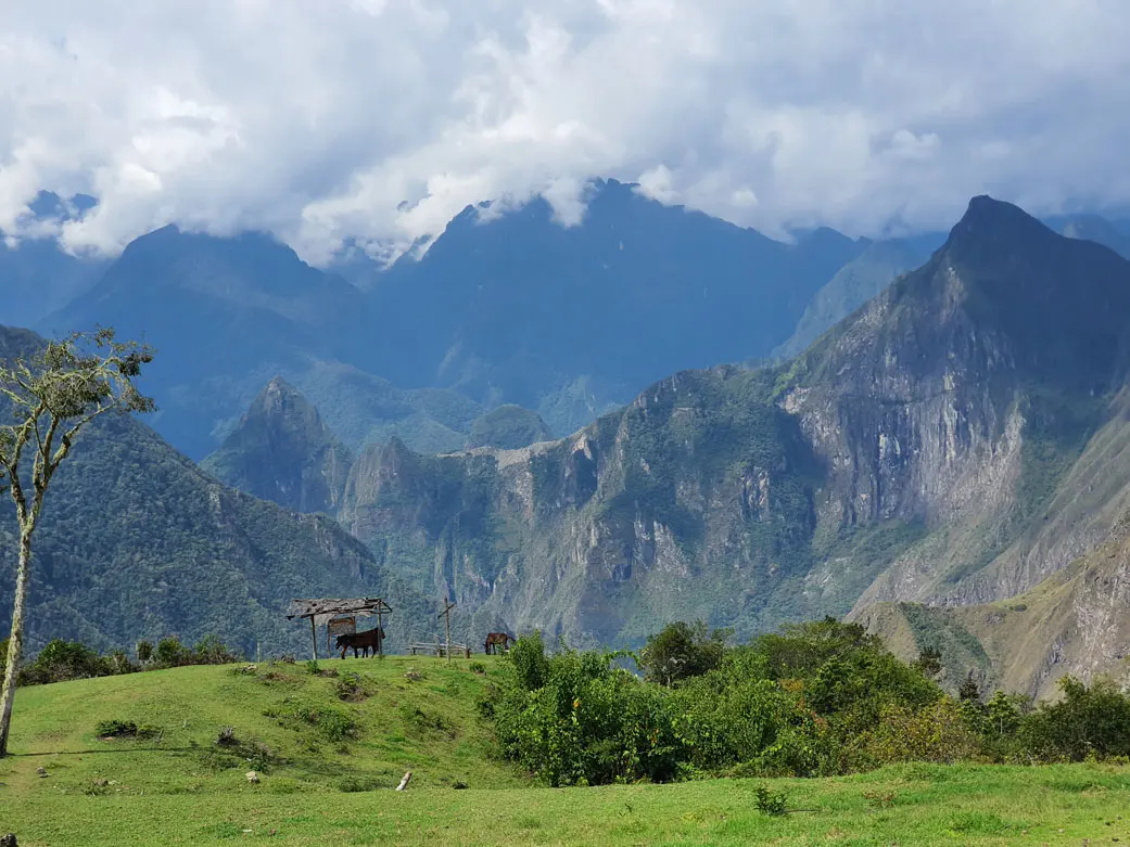 Machu Picchu in the distance
